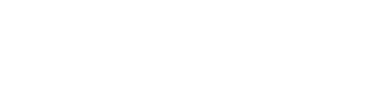 PrimeXRPlusTint