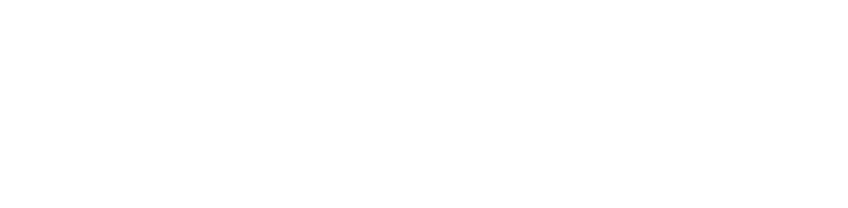PrimeXRTint-1